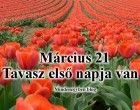 Március 21 . Tavasz első napja van !