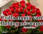 Csilla napja van! Boldog névnapot!