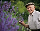 Gyuri bácsi, a bükki füvesember tanácsai