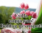 Csilla napja van! Boldog névnapot!