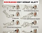 Kockahas egy hónap alatt – kipróbálva, és bevált!