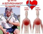 ÍGY ÉLHETED TÚL A SZÍVROHAMOT, HA EGYEDÜL VAGY!OSZD MEG TE IS!