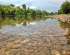 A Tisza így néz ki Tiszabecsnél, hihetetlen de igaz