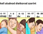 Ennyi alvásra van szükséged életkorod szerint: itt a táblázat!