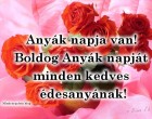 Anyák napja van! - Boldog Anyák napját minden kedves édesanyának!