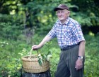 Így méregteleníts ősszel! – a bükki füvesember ezt ajánlja