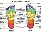 Mentsd el magadnak ezt a cikket,még hasznos lehet: gyógyulj a talpadon keresztül! Talptérkép ( reflexpontok masszírozása) >>>>