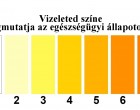 A vizeleted színe jelzi, hogy mennyi vizet kell innod a nap folyamán