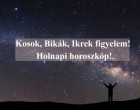 Kosok, Bikák, Ikrek figyelem! Holnapi horoszkóp