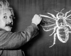 Albert Einstein: “Ha a méhek valaha eltűnnek a Földről, az emberiségnek csak négy éve lenne hátra”