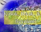 Kosok, Bikák, Ikrek figyelem!