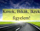 Kosok, Bikák, Ikrek figyelem!