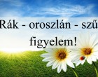 Rák - oroszlán - szűz figyelem! Holnapi horoszkóp