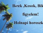 Ikrek ,Kosok, Bikák,figyelem! Holnapi horoszkóp