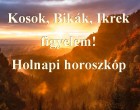 Kosok, Bikák, Ikrek figyelem! Holnapi horoszkóp