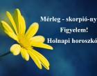 Mérleg - skorpió-nyilas!Figyelem! Holnapi horoszkóp