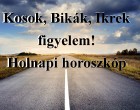 Kosok, Bikák, Ikrek figyelem! Holnapi horoszkóp