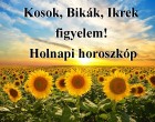 Kosok, Bikák, Ikrek figyelem! Holnapi horoszkóp