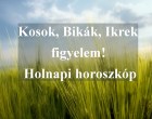 Kosok, Bikák, Ikrek figyelem! Holnapi horoszkóp