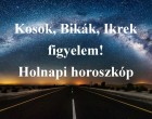 Kosok, Bikák, Ikrek figyelem! Holnapi horoszkóp