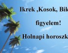 Kosok, Bikák, Ikrek figyelem! Holnapi horoszkóp