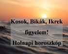 Kosok, Bikák, Ikrek figyelem! Holnapi horoszkóp