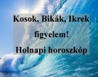 Kosok, Bikák, Ikrek figyelem! Holnapi horoszkóp