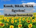 Kosok, Bikák, Ikrek figyelem! Holnapi horoszkóp