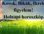 Kosok, Bikák, Ikrek figyelem! Holnapi horoszkóp