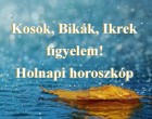 Kosok, Bikák, Ikrek figyelem! Holnapi horoszkóp