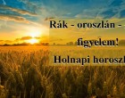 Rák - oroszlán - szűz figyelem! Holnapi horoszkóp