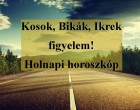 Kosok, Bikák, Ikrek figyelem! Holnapi horoszkóp