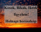 Kosok, Bikák, Ikrek figyelem! Holnapi horoszkóp