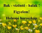 Bak - vízöntő - halak !Figyelem!Holnapi horoszkóp