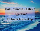 Bak - vízöntő - halak !Figyelem!Holnapi horoszkóp