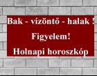 Bak - vízöntő - halak !Figyelem!Holnapi horoszkóp