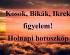 Kosok, Bikák, Ikrek figyelem! Holnapi horoszkóp