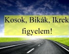 Kosok, Bikák, Ikrek figyelem! Holnapi horoszkóp