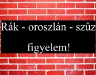 Rák - oroszlán - szűz figyelem! Holnapi horoszkóp