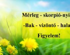 Mérleg - skorpió-nyilas-	Bak - vízöntő - halak!Figyelem! mai horoszkóp