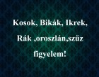 Kosok, Bikák, Ikrek,Rák ,oroszlán,szűz figyelem! Mai horoszkóp