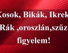 Kosok, Bikák, Ikrek,Rák ,oroszlán,szűz figyelem!