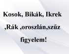 Kosok, Bikák, Ikrek,Rák ,oroszlán,szűz figyelem!holnapi horoszkóp