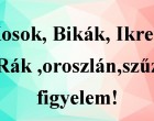 Kosok, Bikák, Ikrek,Rák ,oroszlán,szűz figyelem! Holnapi horoszkóp