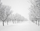 Ilyen lesz az IDEI TÉL! ITT A NAGY TÉLI ELŐREJELZÉS DECEMBERRE, JANUÁRRA, FEBRUÁRRA! Nemsokára már jönnek a kemény fagyok. Durva lesz az időjárás és EZ CSAK A KEZDET, AMI HOLNAP JÖN…ami utána vár ránk,