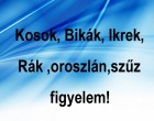 Megérkezett a nagy 2020-as januári horoszkóp:Kosok, Bikák, Ikrek,Rák ,oroszlán,szűz figyelem!