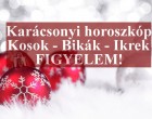 Karácsonyi horoszkóp:Kos - Bika - Ikrek Csillagjegyed elárulja, hogyan töltöd a karácsonyt