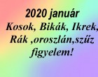 Megérkezett a nagy 2020-as januári horoszkóp:Kosok, Bikák, Ikrek,Rák ,oroszlán,szűz figyelem!