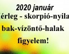 Megérkezett a nagy 2020-as januári horoszkóp:Mérleg - skorpió-nyilas -bak-vízöntő-halak figyelem!