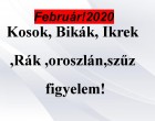 Megérkezett a nagy 2020-as februári horoszkóp:Kosok, Bikák, Ikrek,Rák ,oroszlán,szűz figyelem!